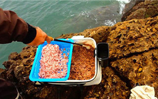 海釣入門之浮游磯釣誘餌的作用與應用特性