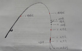 浮游磯釣在淡水垂釣中的應用