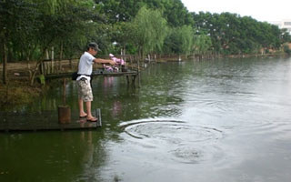 夏季雷雨天過后的路亞技巧