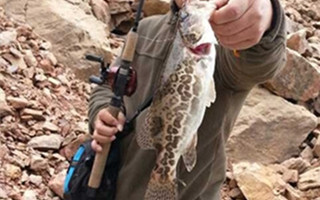 路亞技巧之鱖魚的冬季作釣模式