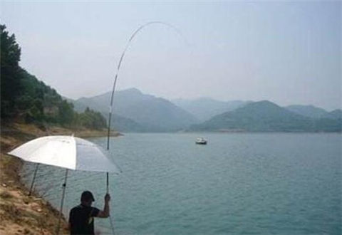路亞、手竿釣翹嘴魚有哪些技巧