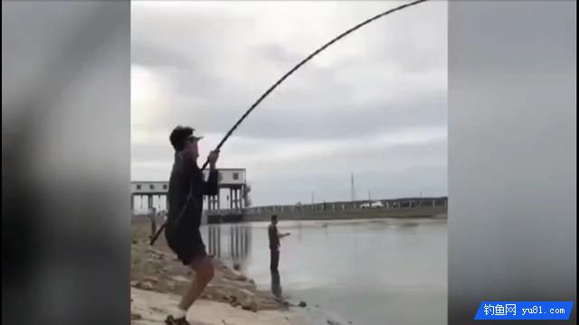 獨腳哥釣魚，被魚給拖著倒在地上，依舊要把魚釣上來