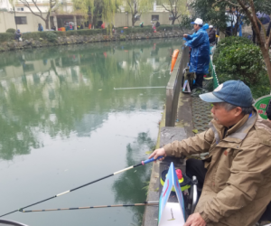 釣魚愛好者喜大普奔 杭州將逐步開放城市垂釣