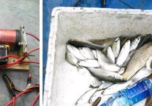 老釣友曝光：為啥電魚人不敢吃電打魚，原因讓人氣憤