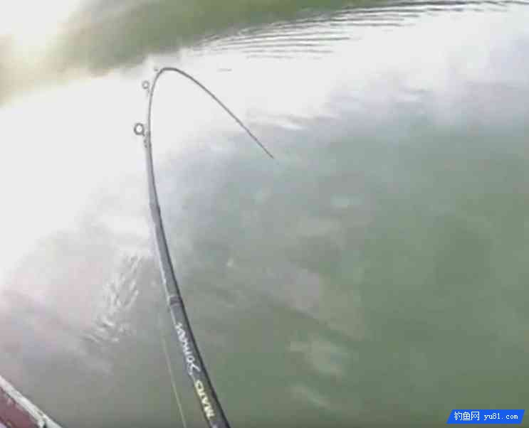男子乘船在河中釣魚釣獲碩大“魚王”
