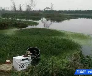 到一個陌生水域垂釣怎樣判斷魚情
