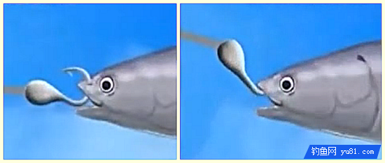 平均2秒就能釣到一條魚!島國人民的迷之釣魚法~