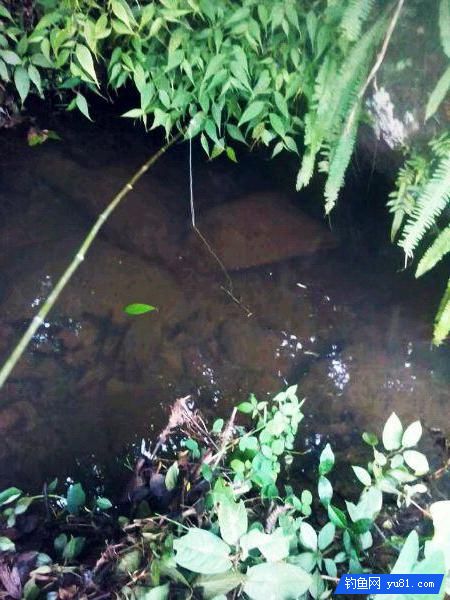 農村大哥放完牛去釣魚，一會兒就爆盆了，釣魚資源真好！