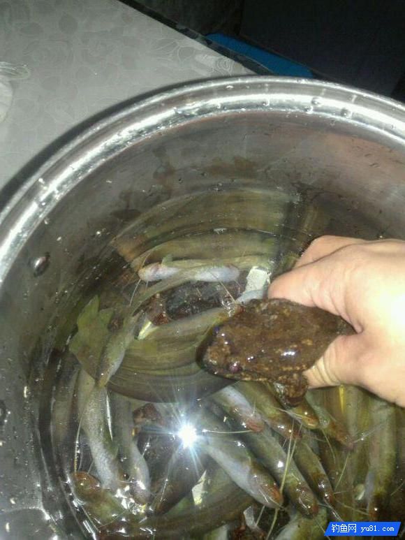農村大哥放完牛去釣魚，一會兒就爆盆了，釣魚資源真好！