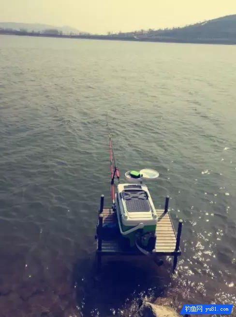 大部分釣魚人都不吃這種魚，它卻經常出現在飯店里