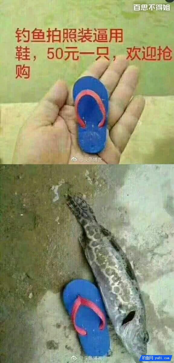 你釣魚時有沒有遇到裝逼失敗的人？這幾個讓人笑岔氣了~