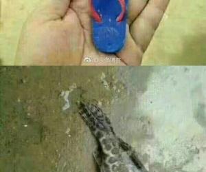 你釣魚時有沒有遇到裝逼失敗的人?這幾個讓人笑岔氣了~