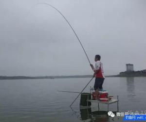 釣魚人的病癥，釣齡3年以下的很難看懂！
