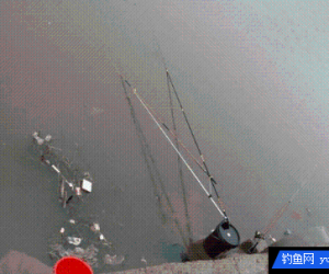 狂風暴雨釣獲野生大鰱鳙, 橙紅色的鯽魚從沒見過
