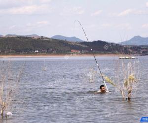 本想釣魚，魚卻把魚竿“釣”走