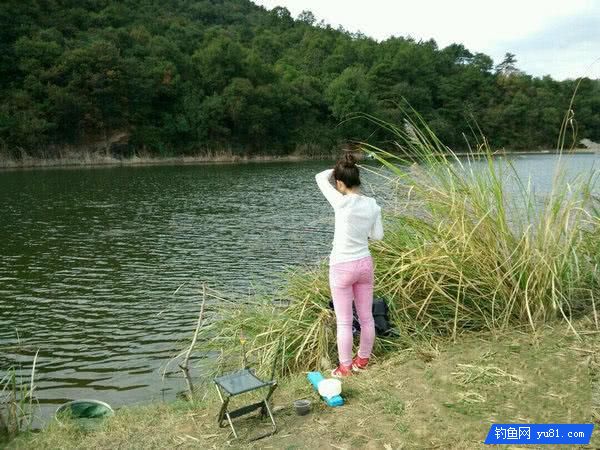 秋釣小河“餌料對了口，魚兒釣滿簍”