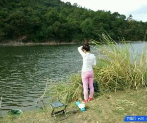 秋釣小河“餌料對了口，魚兒釣滿簍”
