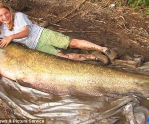 英小女孩釣到193英磅大鯰魚 打破兒童垂釣記錄