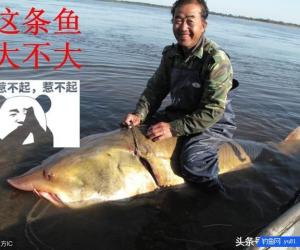 釣小魚靠逗，釣大魚靠守，你真的了解這個“守”嗎？