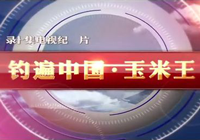 釣遍中國玉米王