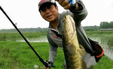 三耳魚的黑魚世界