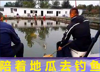 地瓜釣魚視頻