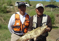 程寧釣魚視頻