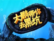 大鵬帶你去黑坑