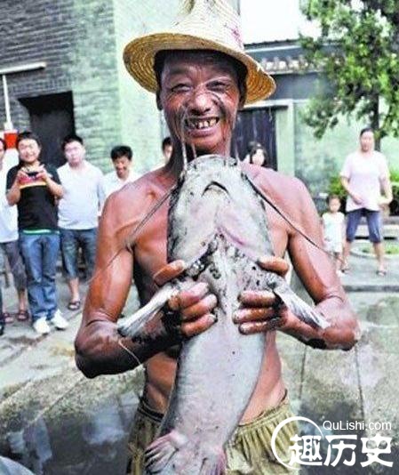 中國漁民捕獲一條重500斤長3米巨型鰉魚