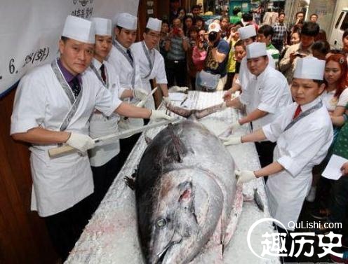 巨型塘鲺_巨型塘鲺魚_巨型塘鲺吃人