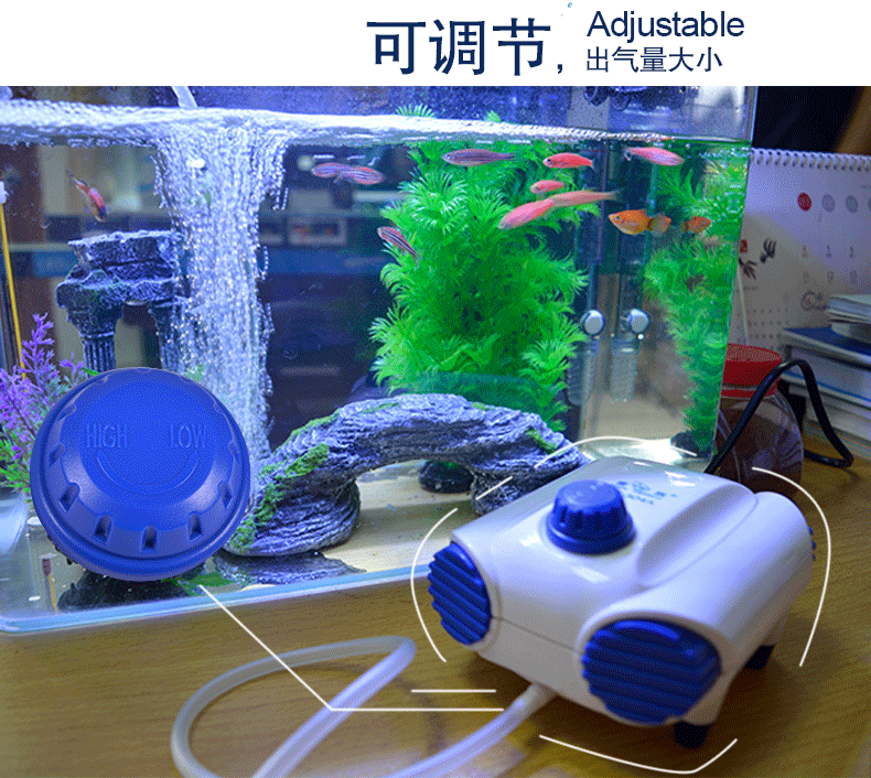 魚缸氧氣吸死魚_十大養不死的觀賞魚不用加氧_魚缸打氧死魚