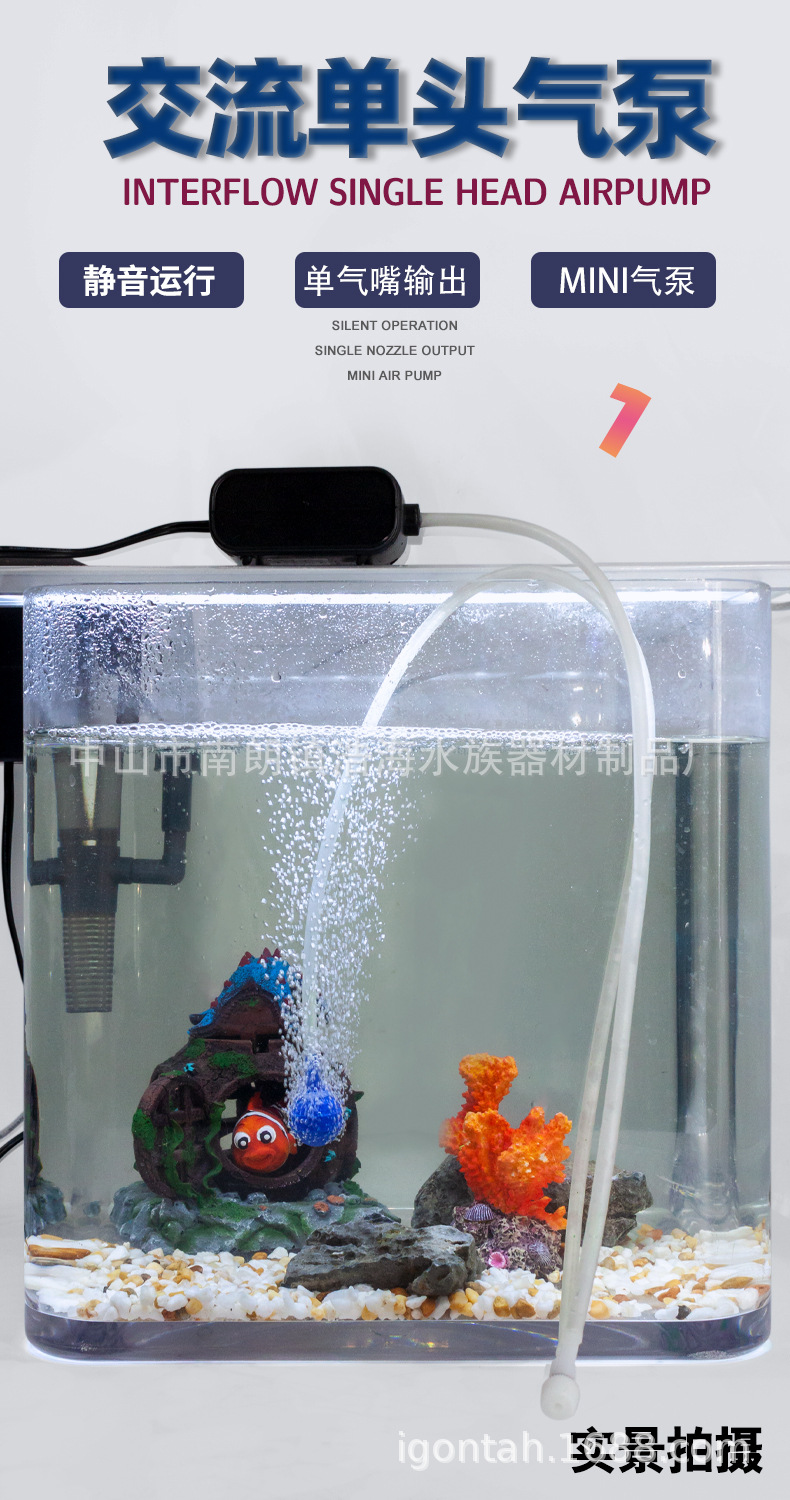 十大養不死的觀賞魚不用加氧_魚缸打氧死魚_魚缸氧氣吸死魚