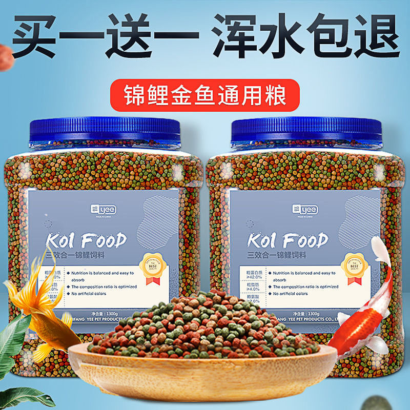 小金魚怎么養_金魚養小魚_金魚養小的好還是大的好