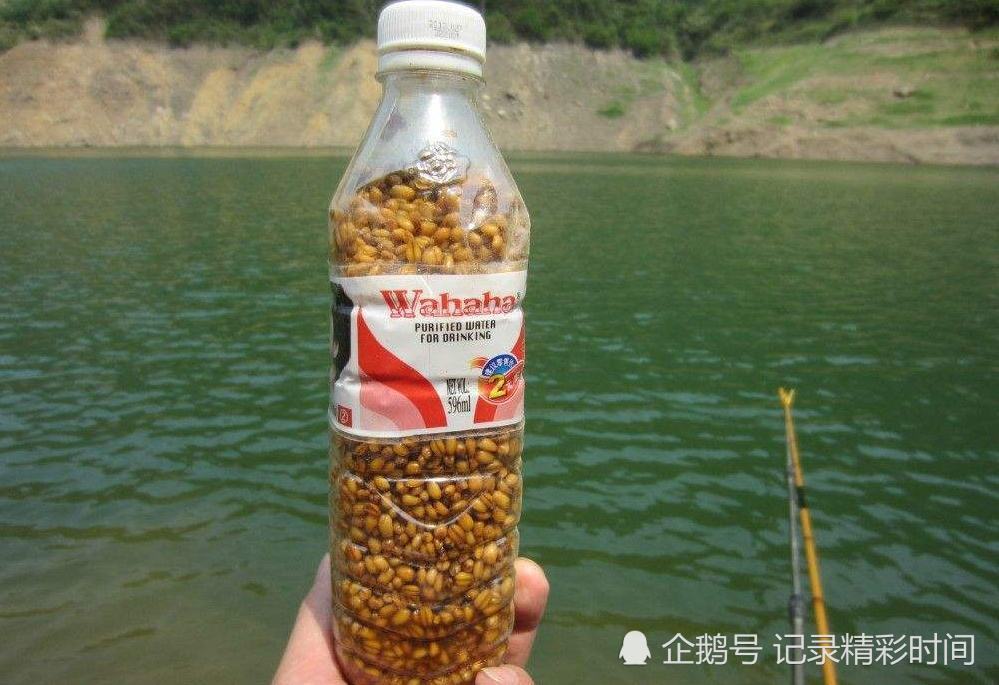 自制魚餌_自制魚餌料_自制魚餌簡單做法大全