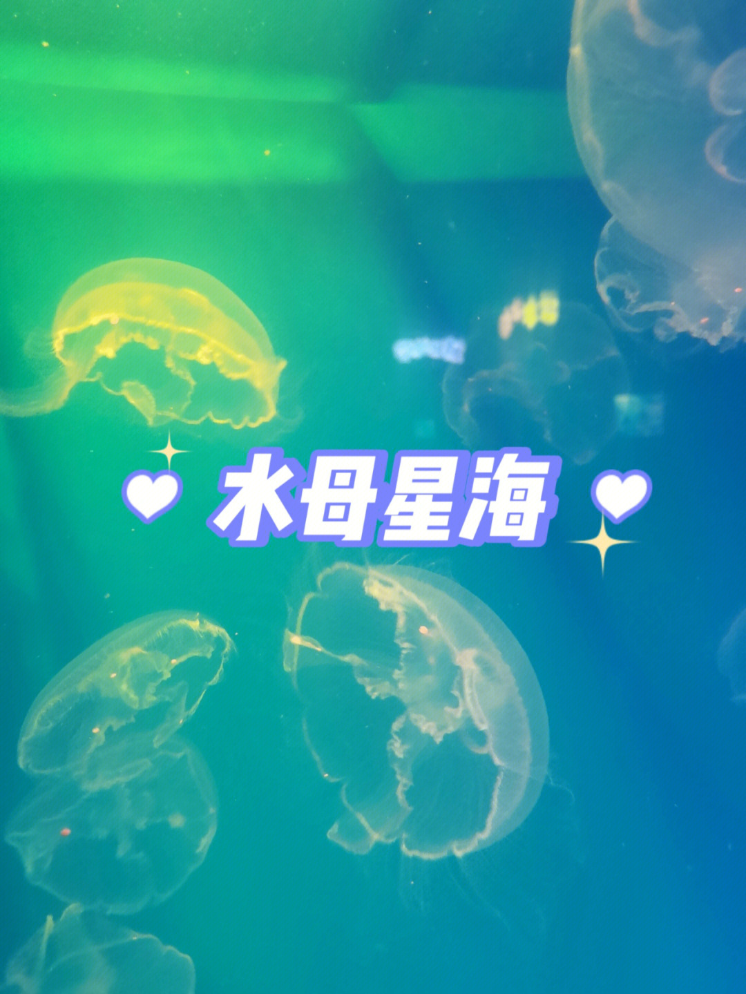 迎澤公園海底世界_海底世界公園門票價格_迎澤公園海底世界幾點關門
