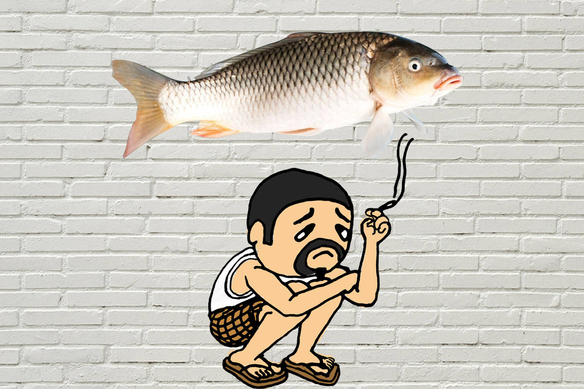 羅非魚刺多嗎怎么做好吃_羅非魚有刺嗎_羅非魚魚刺有毒嗎