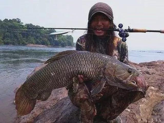 羅非魚魚刺有毒嗎_羅非魚有刺嗎_羅非魚刺多嗎怎么做好吃