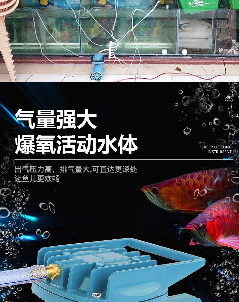 慈世堂：孔雀魚的飼養方法有哪些？如何選購