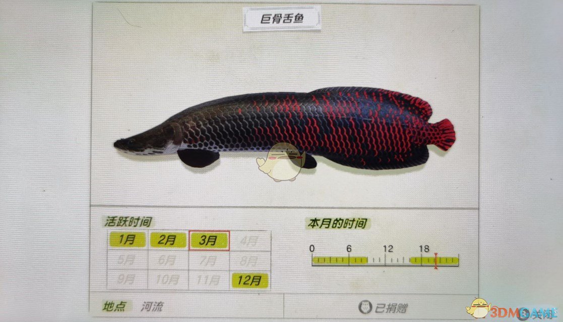 銀龍魚水溫34度_銀龍魚水溫32度要緊不_銀龍魚水溫