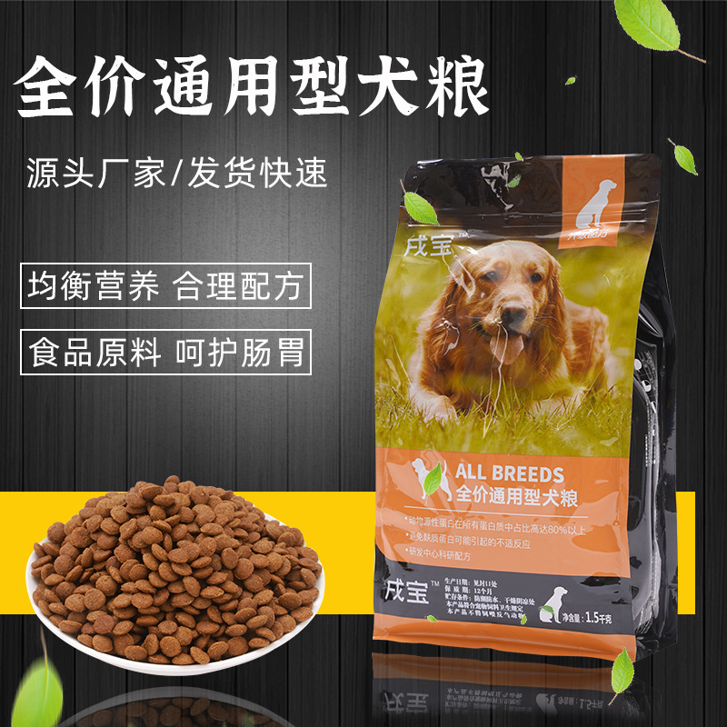 稀有犬種數量的增長,幼犬的喂養知識及注意事項