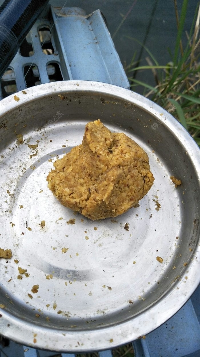夜釣鯉魚幾點開口吃食_夜釣鯉魚幾點_夜釣鯉魚的最佳時間
