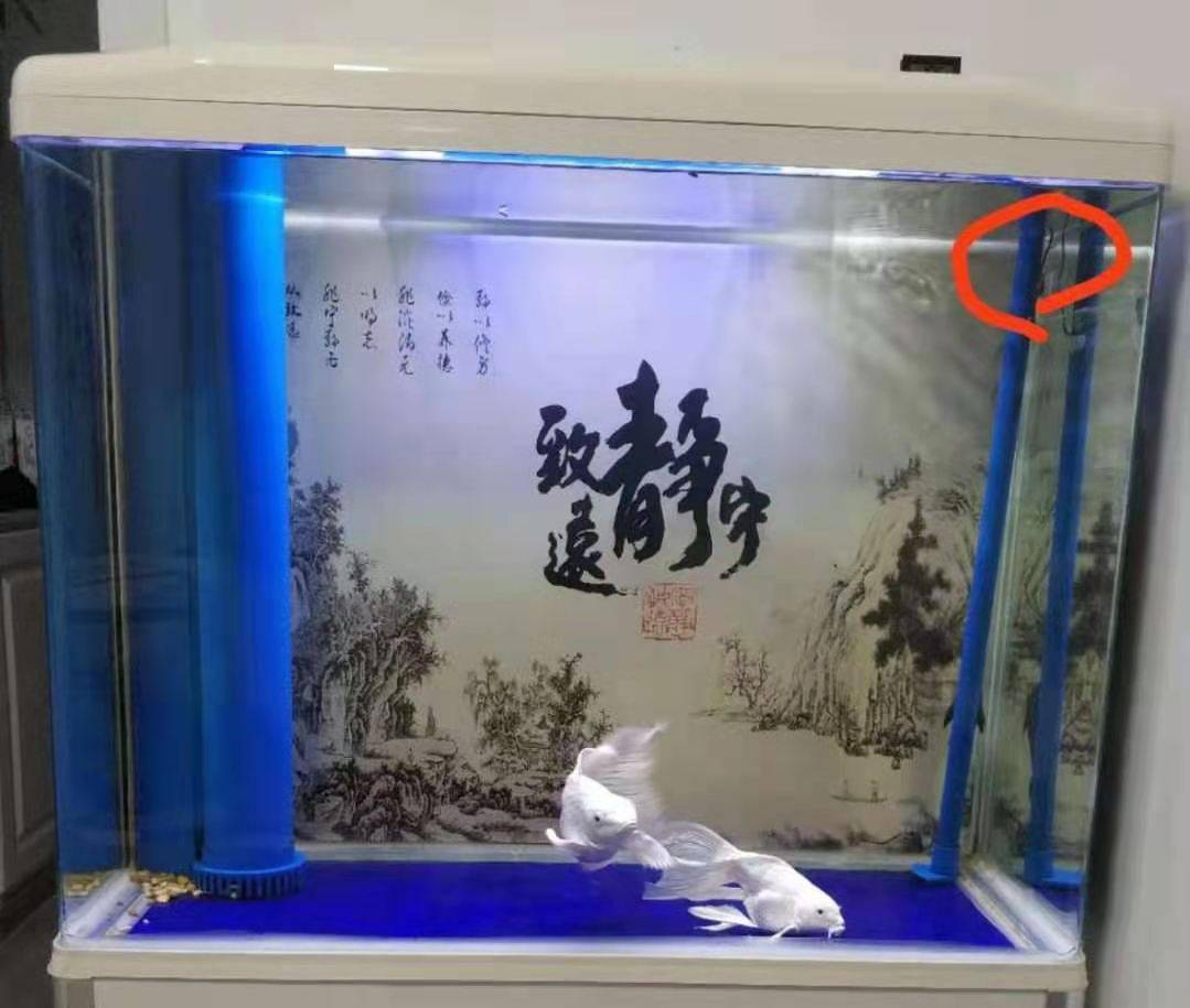 思越木結構|自然與自由的魚缸設計