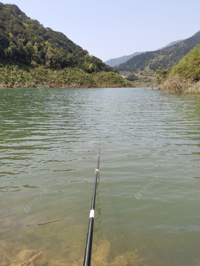 野釣排名第一的浮漂_哪款浮漂適合野釣_釣魚浮漂排行