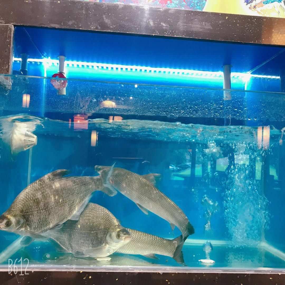 夢幻水族館動態屏保_3d夢幻水族動態壁紙3.5版_夢幻水族館屏保動態壁紙