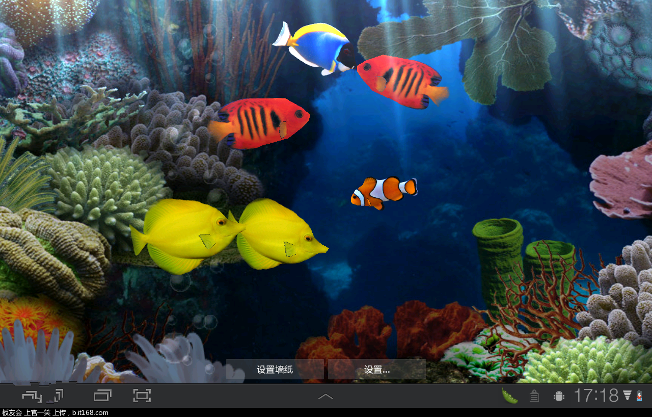 3d夢幻水族動態壁紙3.5版_夢幻水族館屏保破解版_夢幻水族館動態屏保