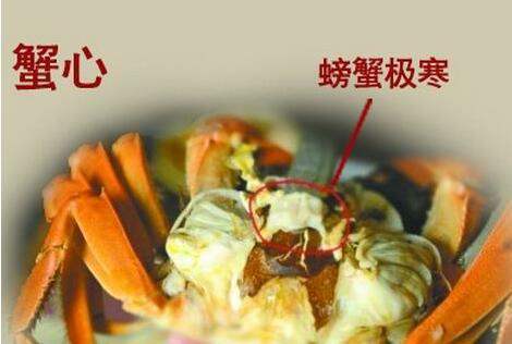 不到廬山辜負目，不食螃蟹辜負腹