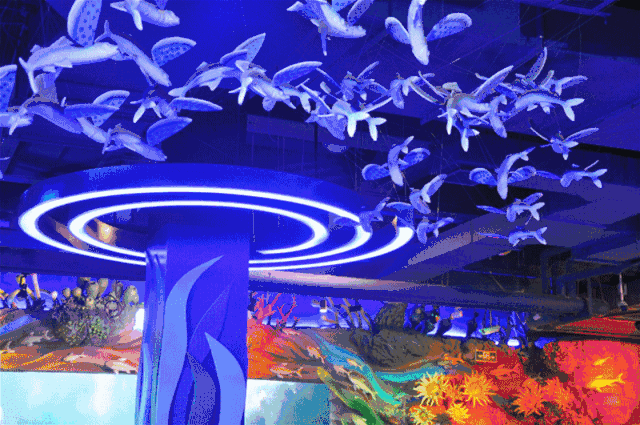 夢幻水族館動態屏保_夢幻水族館屏保破解版_3d夢幻水族動態壁紙3.5版