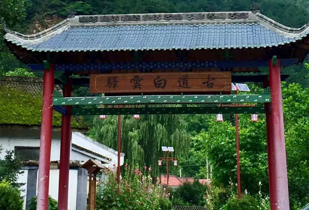 浙江桐廬蘆茨村：“白云源”隱藏在大山深處