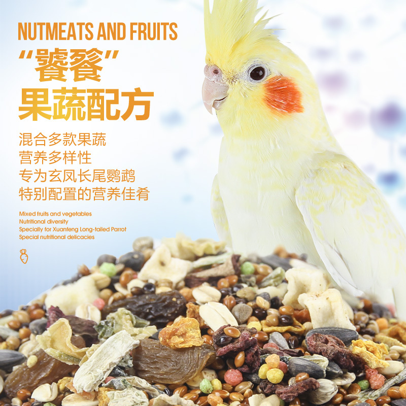 虎皮鸚鵡的注意事項有哪些？