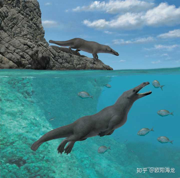 鯨魚作文優秀10篇：嘿嘿！就是齒鯨